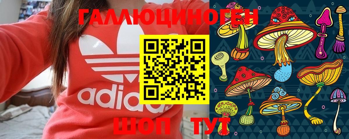 Галлюциногенные грибы MAGIC MUSHROOMS Крымск