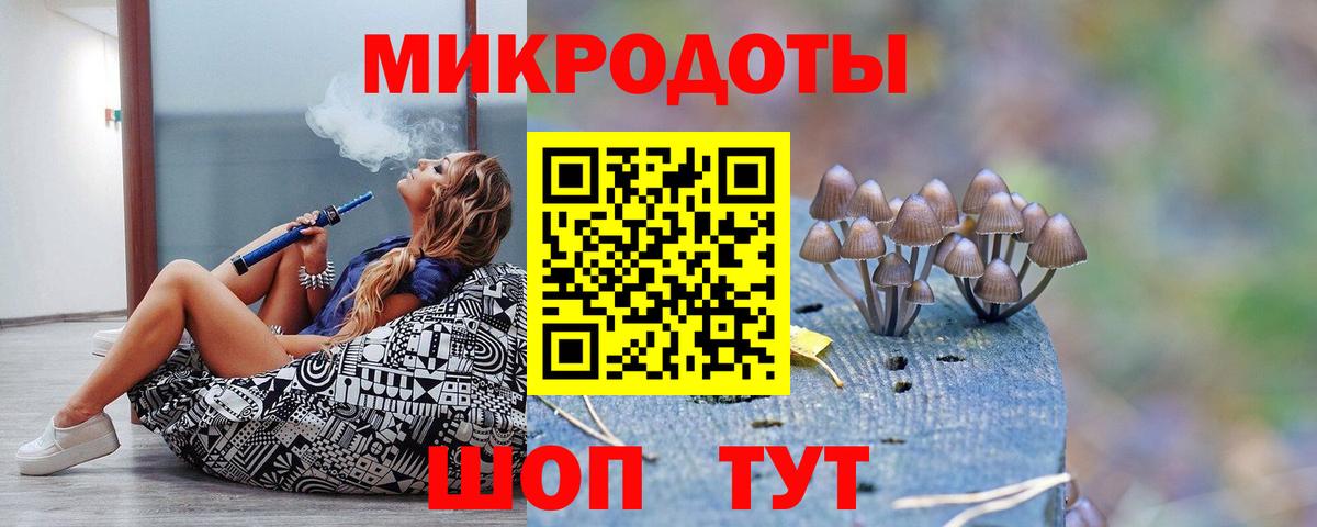 Псилоцибиновые грибы Psilocybe  Псилоцибиновые грибы прущие грибы  Крымск  Вход с VPN 